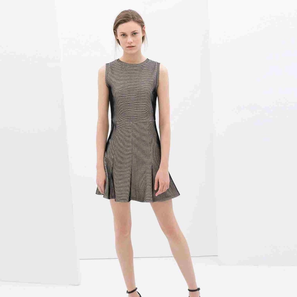 Zara Woman Mesh Skater Dress